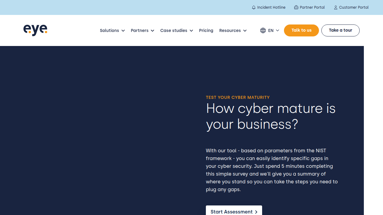 Assess Your Cyber Maturity | Eye Security Cyber …