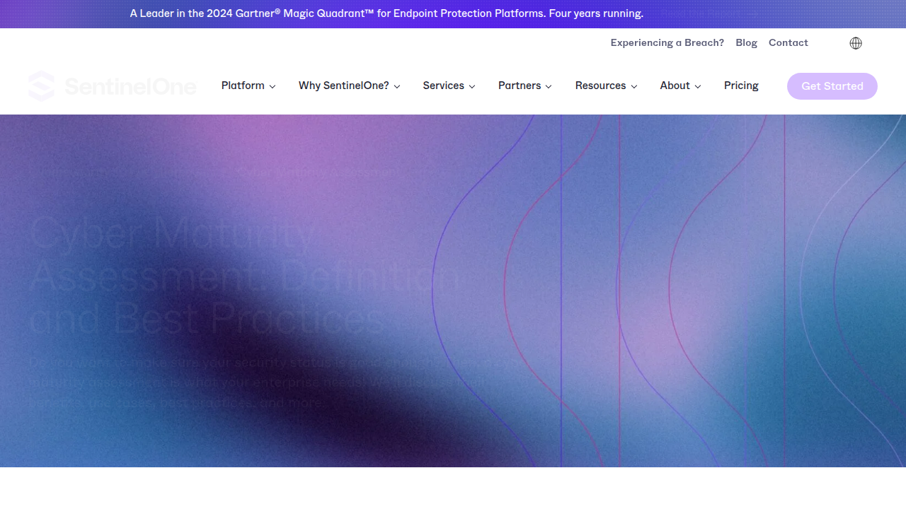 Cyber Maturity Assessment: Definition and Best …