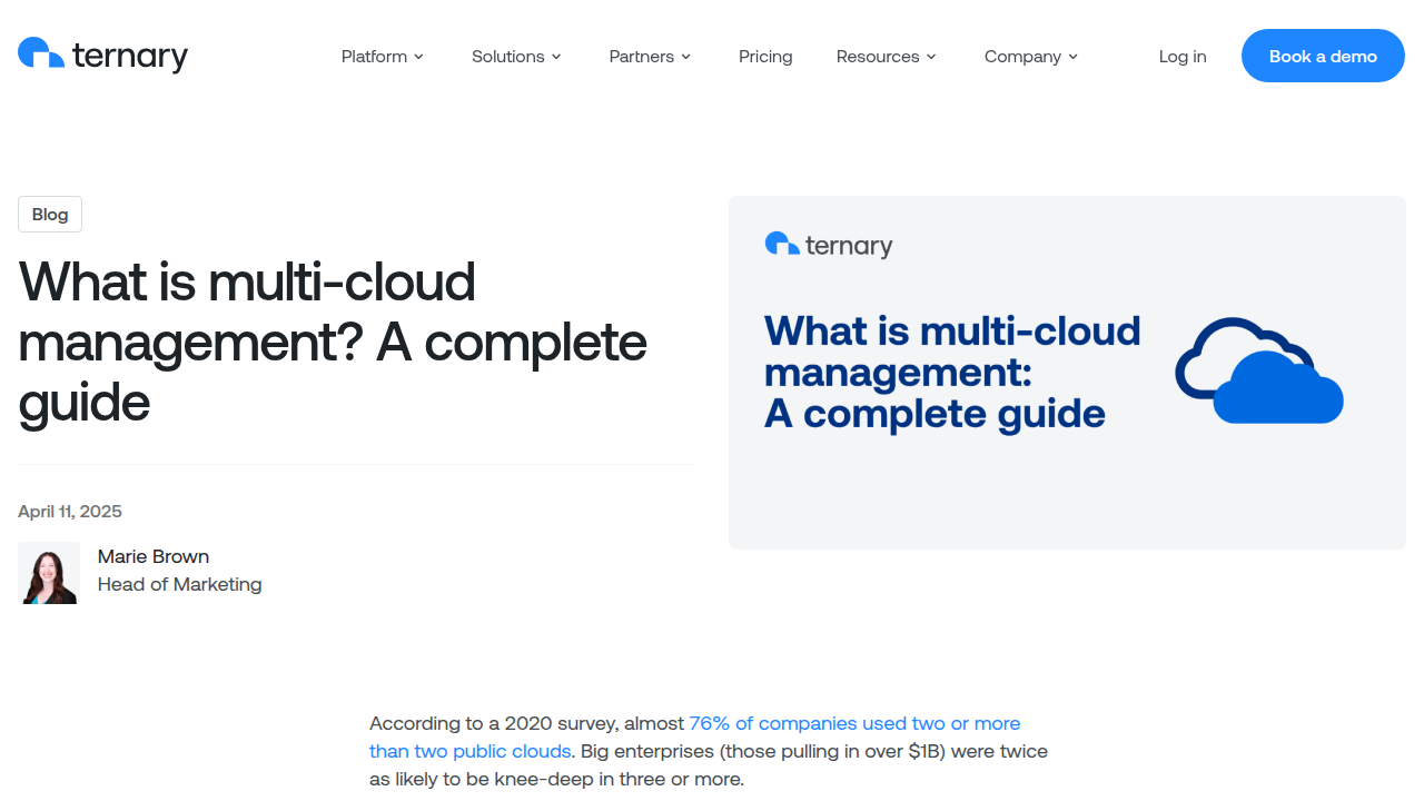 What is multi-cloud management? A complete guide - ternary.app