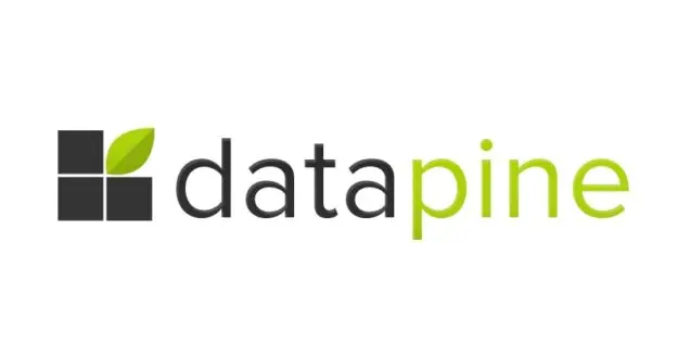 RIB BI+ (ex datapine) - Construction Analytics & Dashboards profile logo