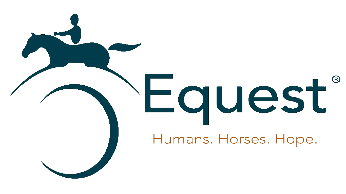 eQuest - Job Posting Delivery Service profile logo