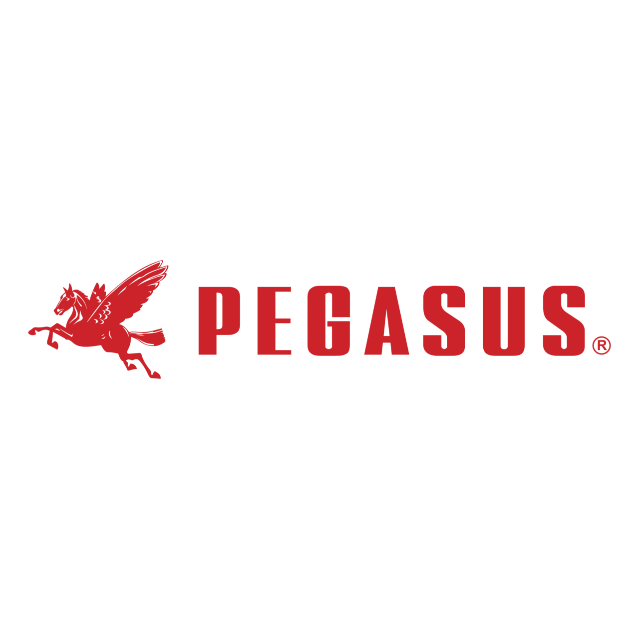 Pegasus Software - Integrated Business and Accounting Solutions profile logo